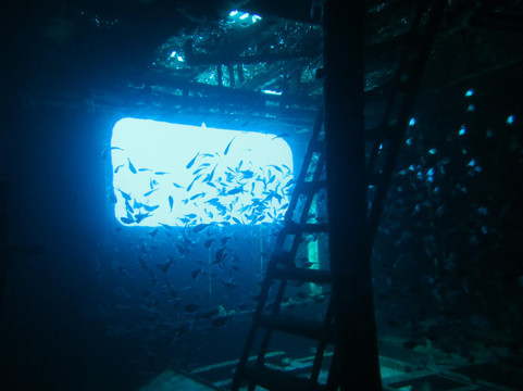 Felipe Xicotencatl Shipwreck-考祖梅必去景点