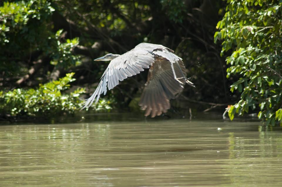 Playas de Catazaja-Catazaja必去景点