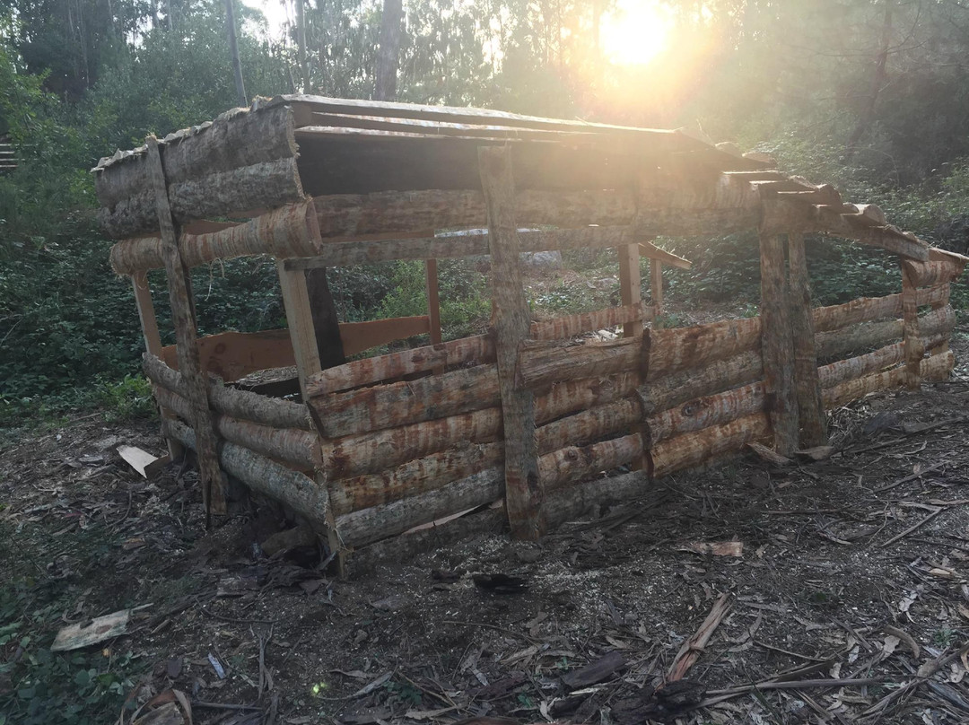 Paintball Campo do Lobo景点图片