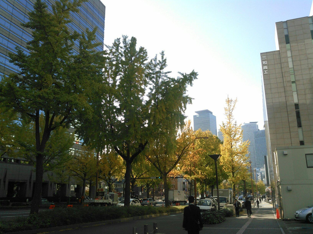 Sakura Avenue Lined with Ginkgo Tree-Naka必去景点