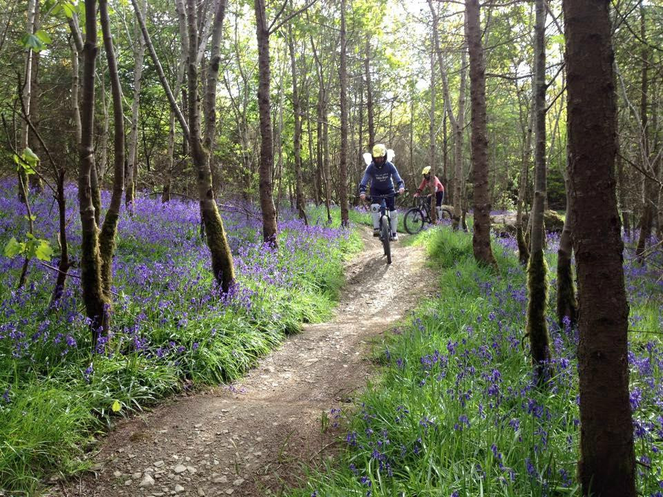 Bike Park Ireland-Roscrea必去景点