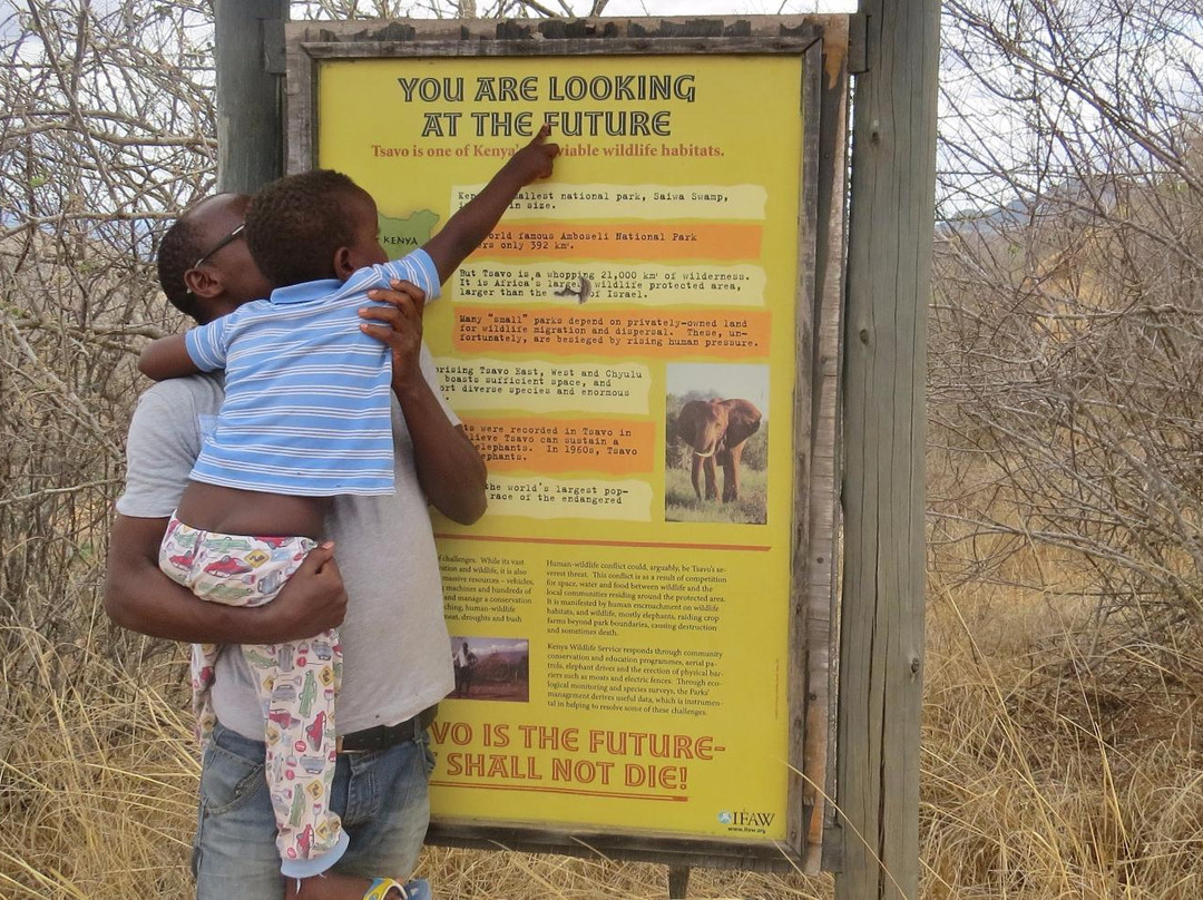 Roaring Rocks-西察沃国家公园必去景点