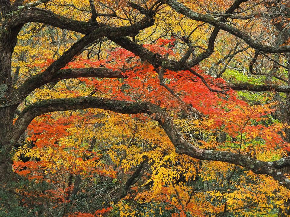 Mazeno Valley景点图片