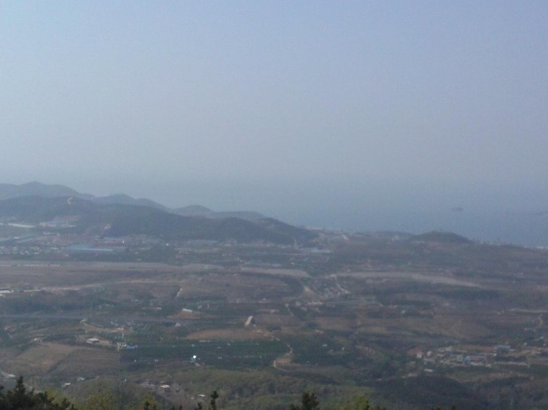 金龙寺森林公园-大连市必去景点