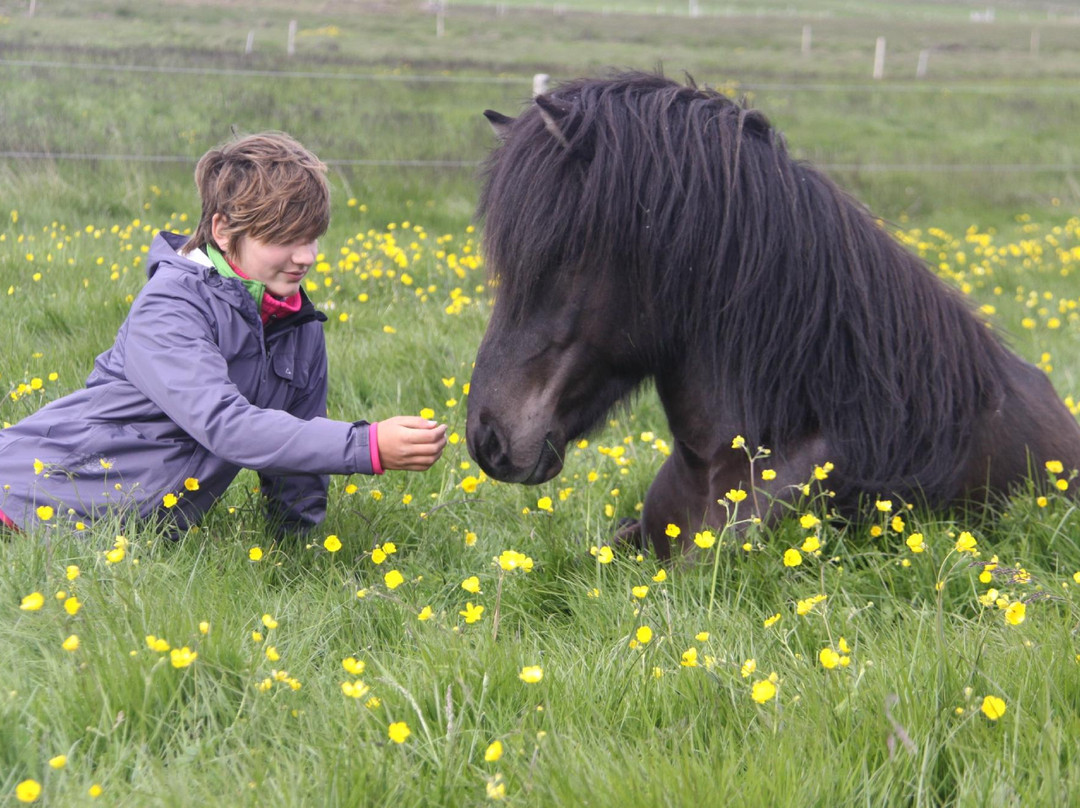 America 2 Iceland-博尔加内斯必去景点