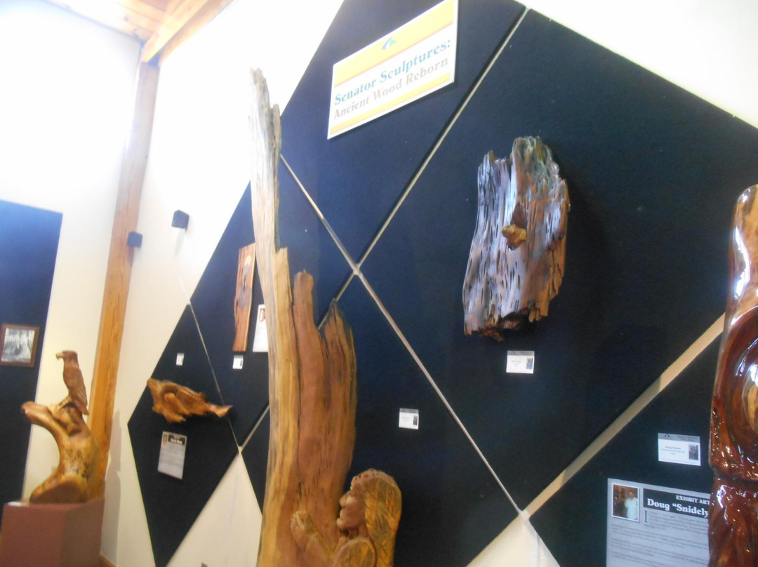 The Museum of Seminole County History-桑福德必去景点