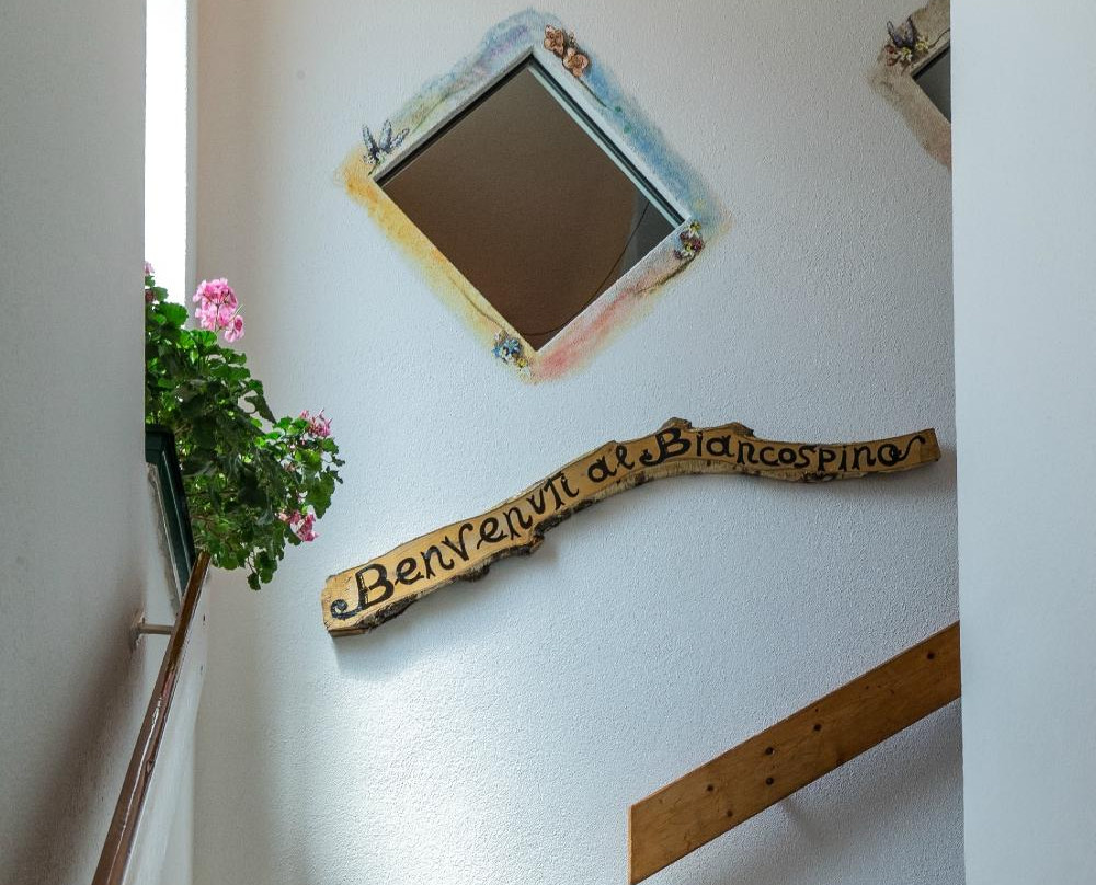Hotel Biancospino主图