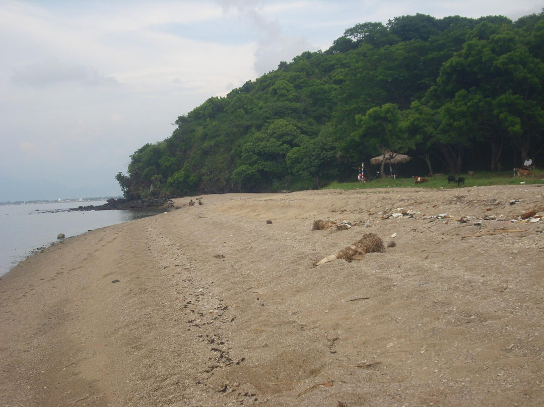Pantai Tampora-Situbondo必去景点