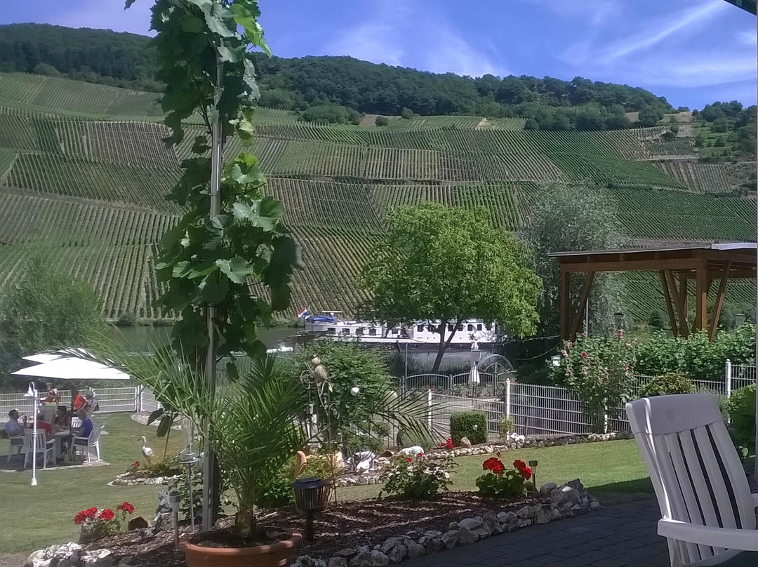 Weingut Karthaeuserhof主图