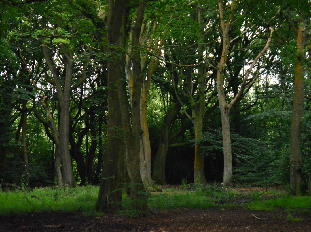 Lilford Park景点图片
