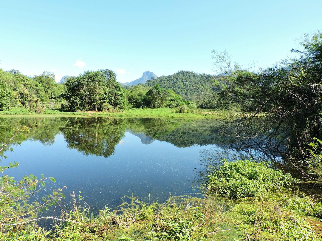 REGUA - Reserva Ecológica de Guapiaçu景点图片