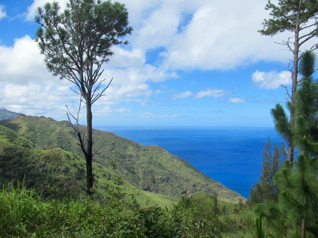 Kuaokalā Trail-怀厄奈必去景点