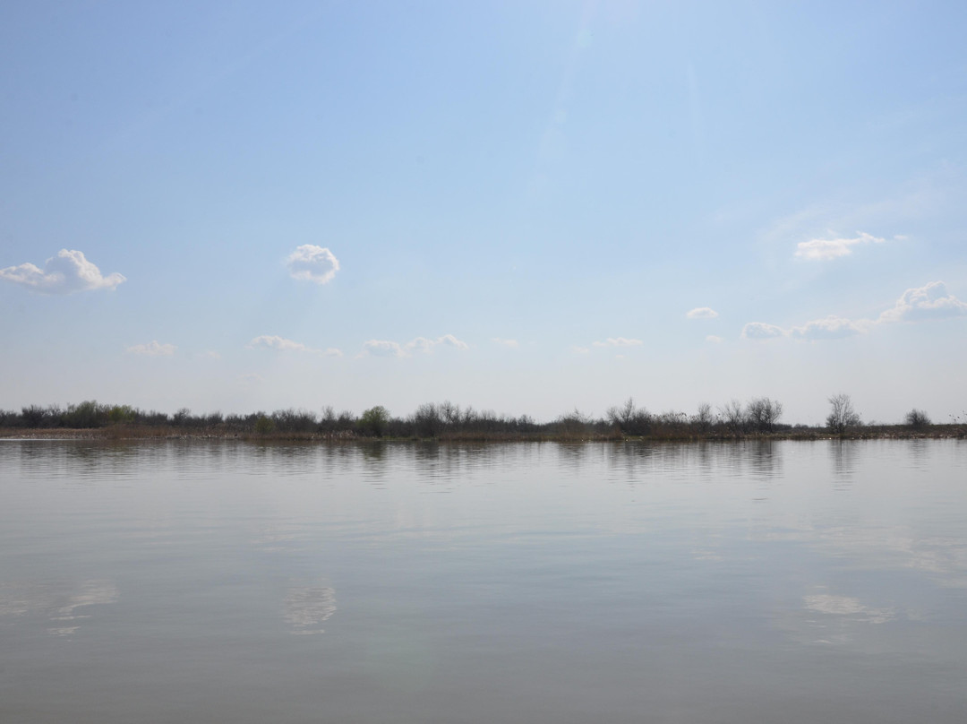 Danube Biospheric Reserve-Vilkovo必去景点