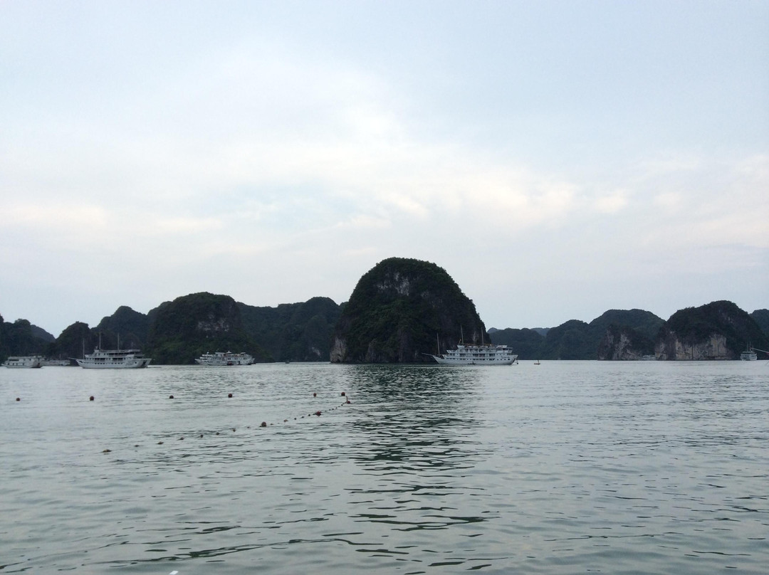 Ti Top Island-下龙湾必去景点