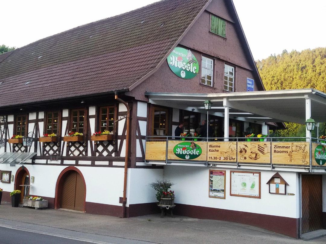 Gutach im Schwarzwald酒店住宿-Gutacher Roessle