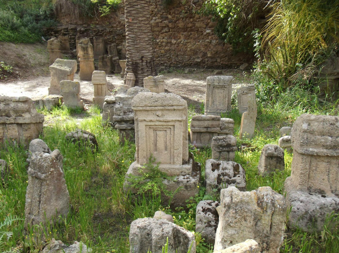 Tophet de Carthage景点图片