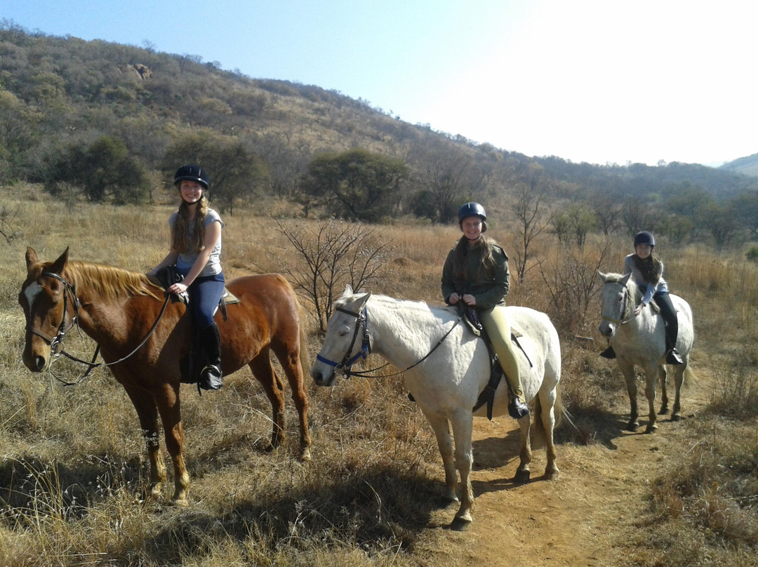 Klipriviersberg Nature Reserve Horse Trails景点图片