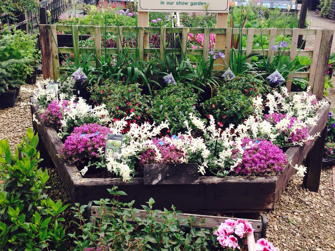 Whitlenge Garden, Tea Room and gift shop-Hartlebury必去景点