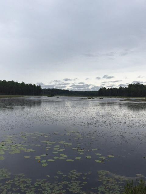 Wakeley Lake景点图片