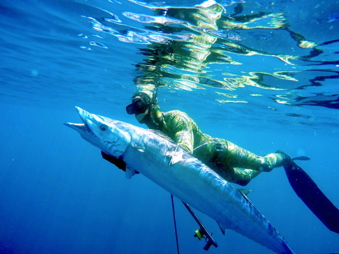 Spearmex-蓬塔米塔必去景点