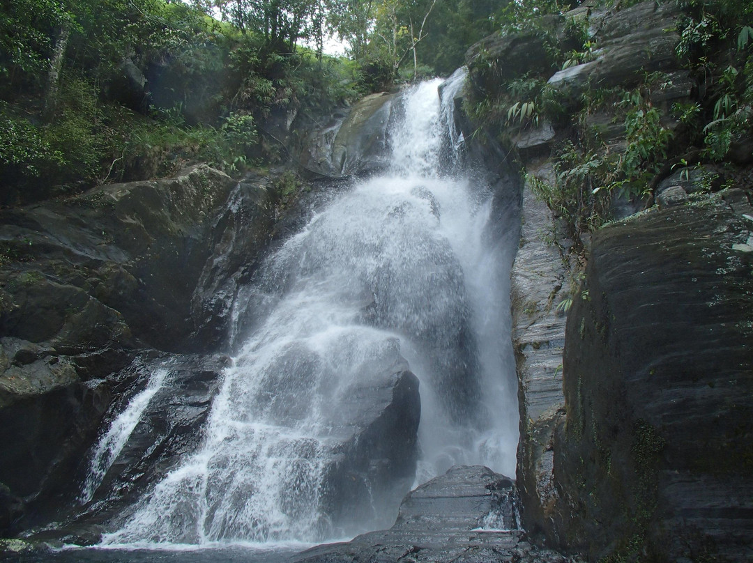 加勒旅游攻略图片