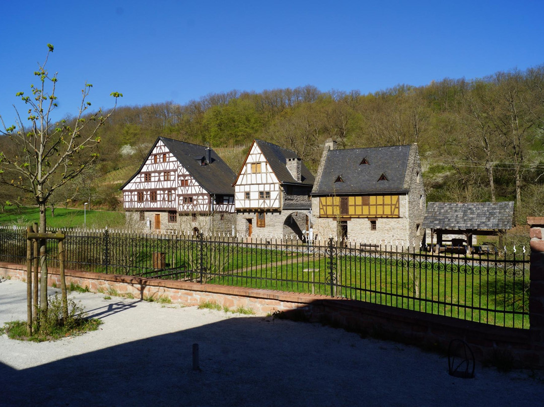 Rheinland-Pfalzisches Freilichtmuseum (open air museum)景点图片