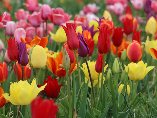 Burnside Farms-Haymarket必去景点