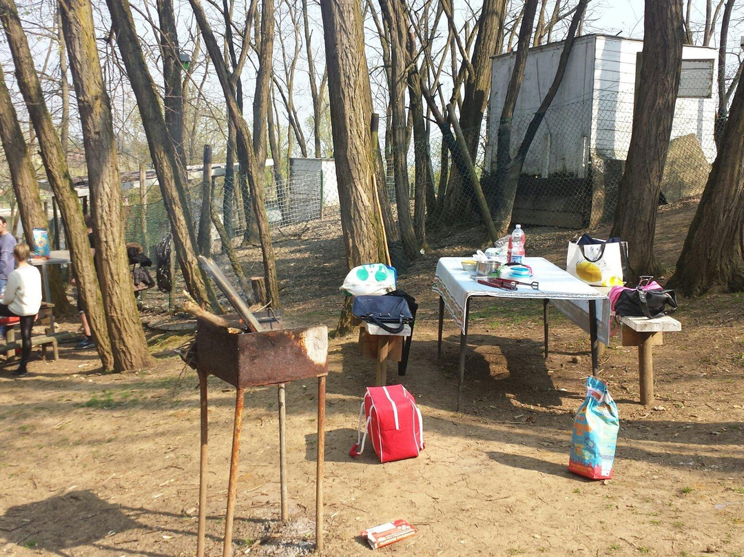 Il Lago Parco景点图片