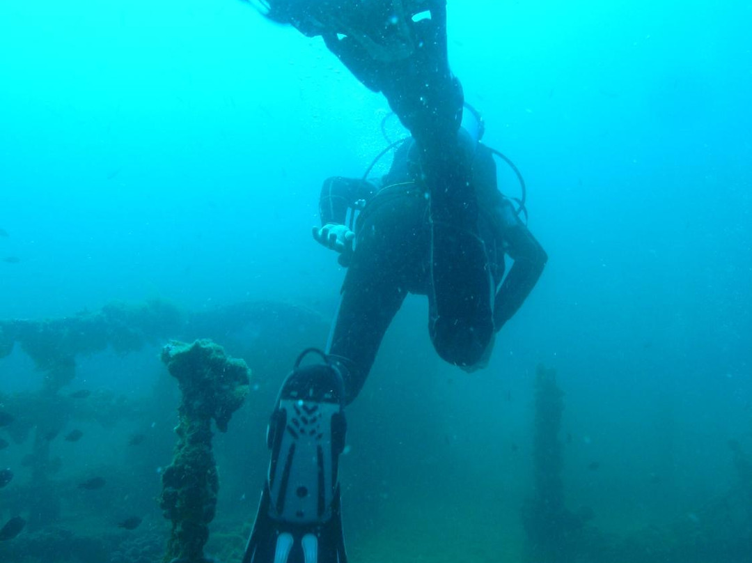 Zeus Faber Diving Center Lanterna-Tar-Vabriga必去景点