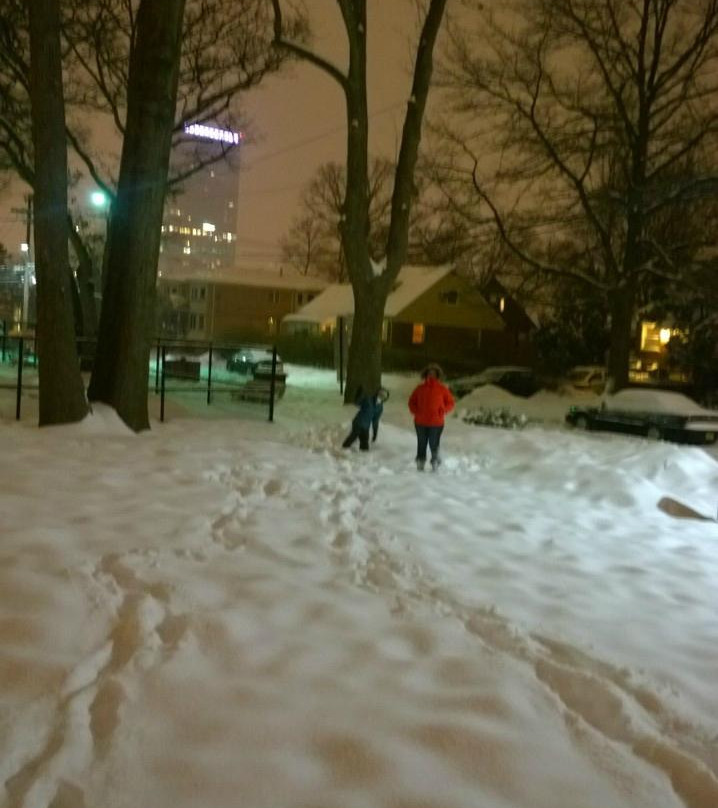 Firemen's Park-利堡必去景点