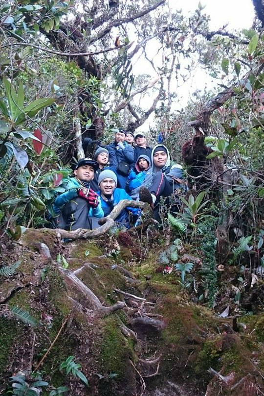 Mt. Trusmadi Apin-apin-根地咬必去景点