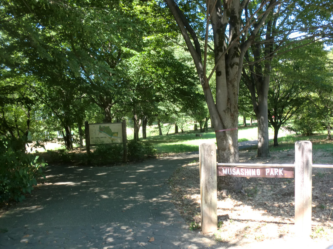 Musashino Park-小金井市必去景点