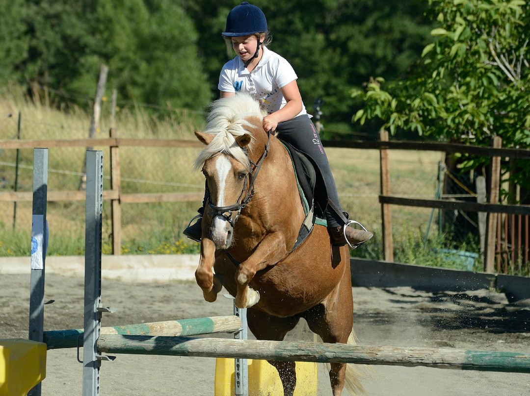 Monastero d'Ombrone酒店住宿-Agriturismo Centro Ippico della Berardenga