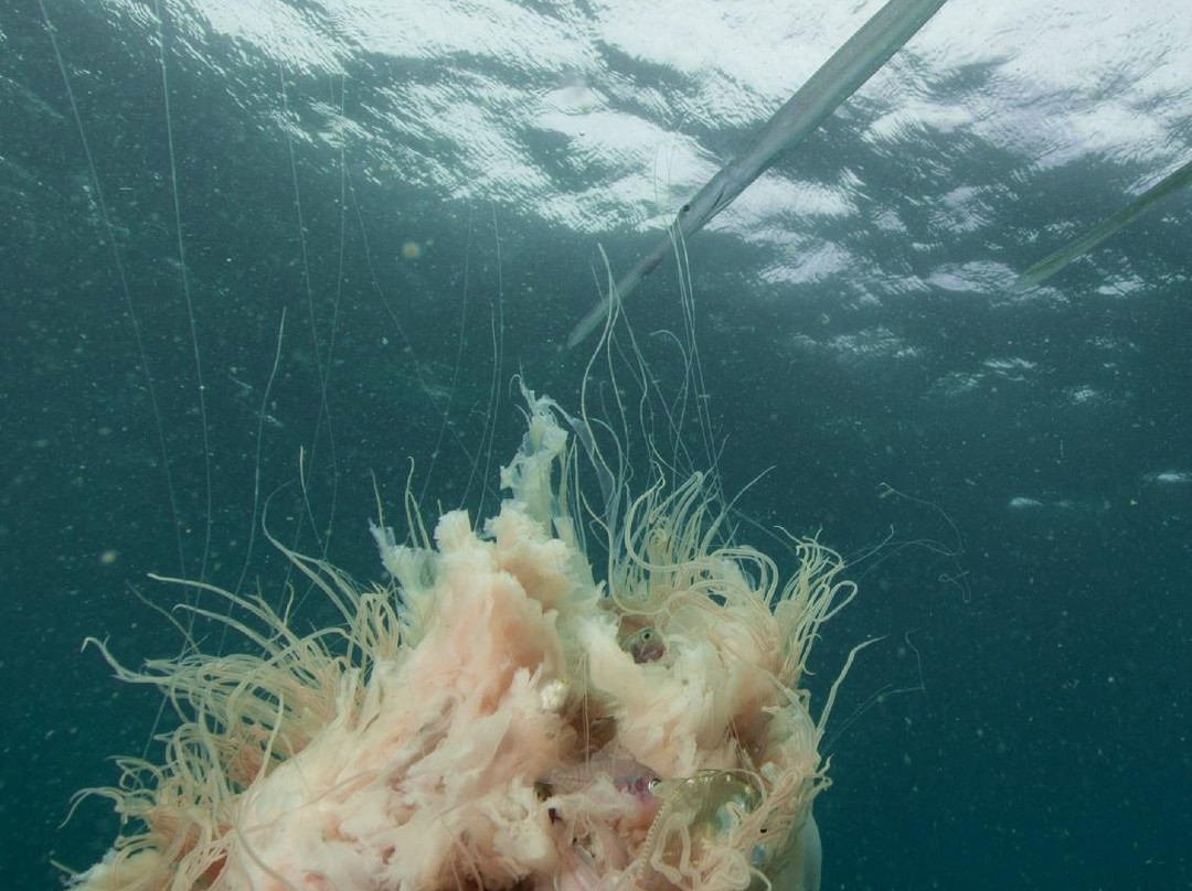 Getaway Sailing on the Gold Coast-Runaway Bay必去景点