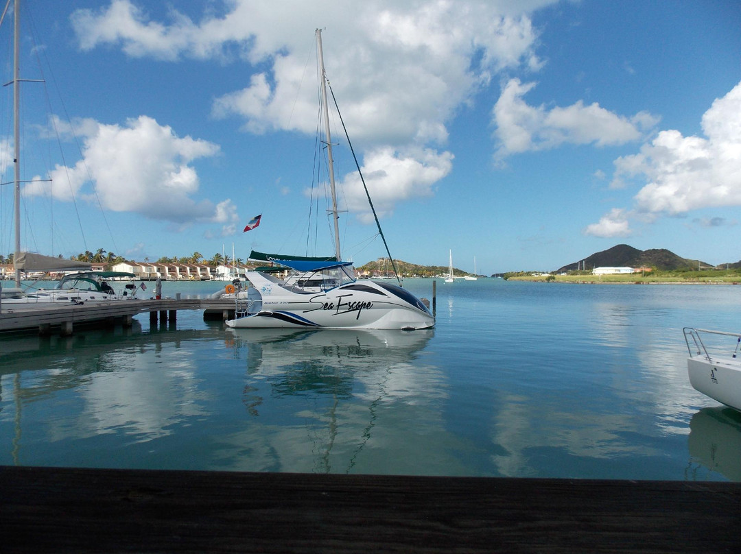 Sea Escape Tours-乔治城必去景点