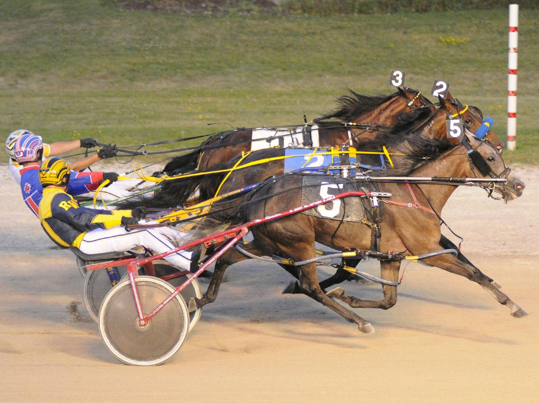 Grand River Raceway-伊劳拉必去景点