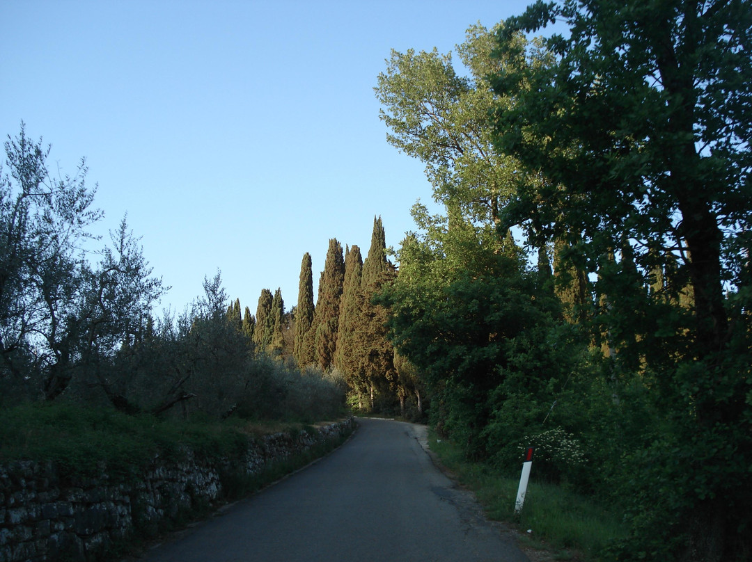 Strada in Chianti旅游攻略图片