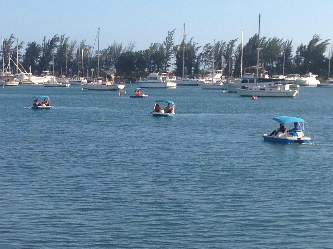 Caribe Rentals-庞塞必去景点