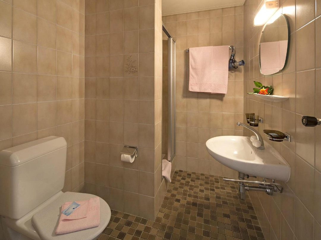 Tenero-Contra酒店住宿-Hotel Al Lago