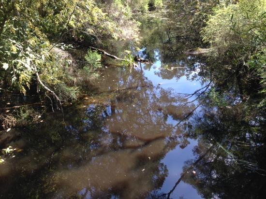 Gippsland Lakes Discovery Trail-Gippsland必去景点