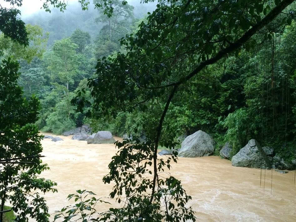 Painan旅游景点-Bayang Root Bridge