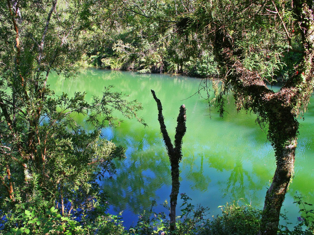 Laguna Verde景点图片