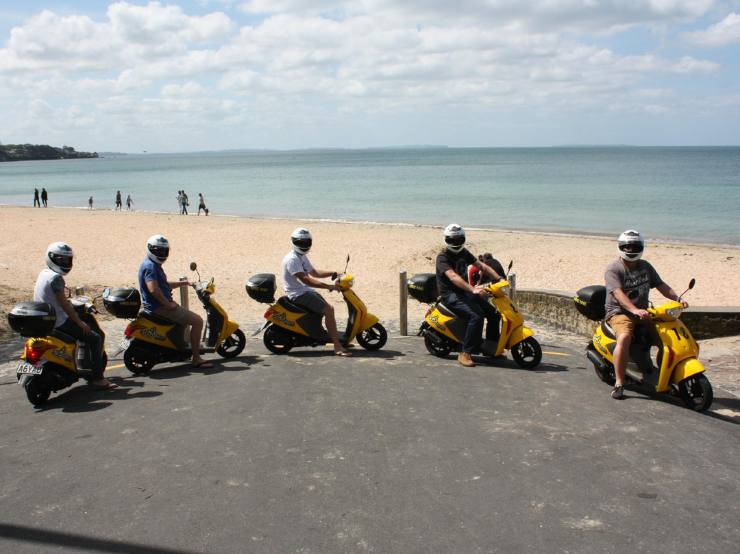 SCOOtours-奥克兰中心地区必去景点