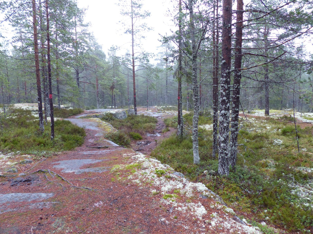 Grössjön Nature Reserve-于默奥必去景点