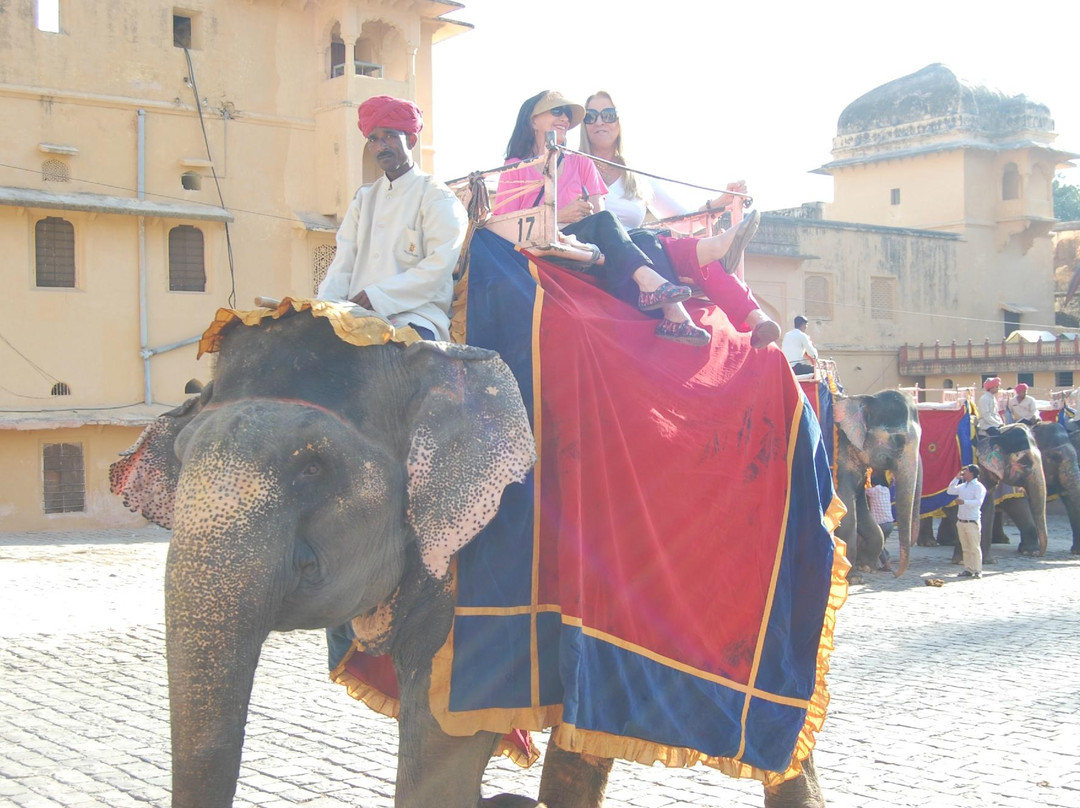 Ecstatic India Tours景点图片