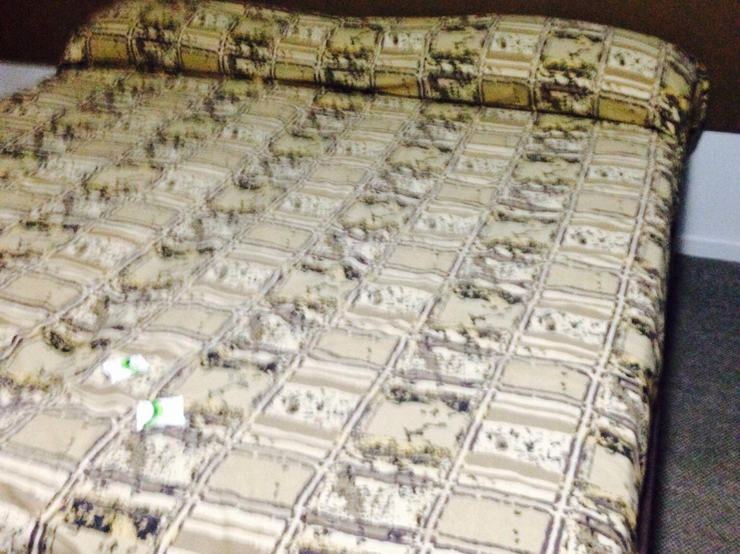 Noosa North Shore Resort-努沙必去景点