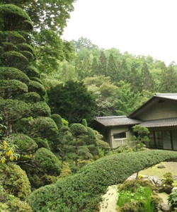 Hase Temple景点门票图片