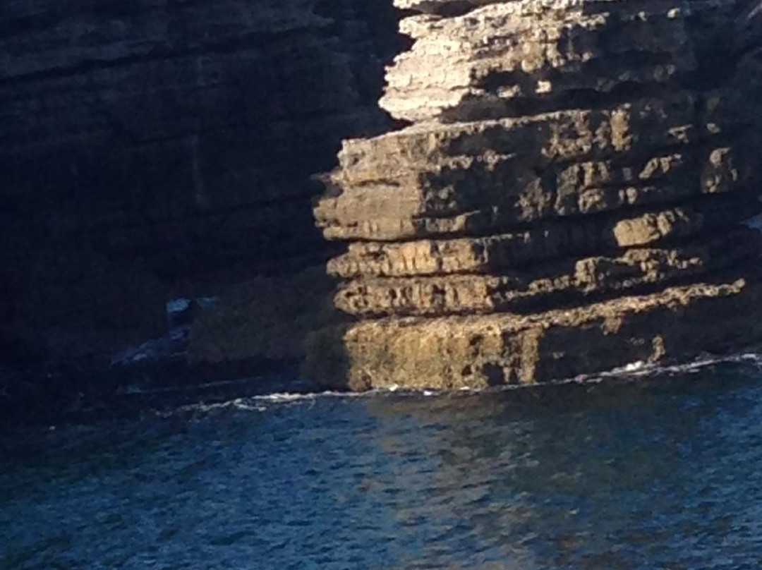 Jervis Bay Eco Adventures-Day Boat Tours-赫斯基森必去景点