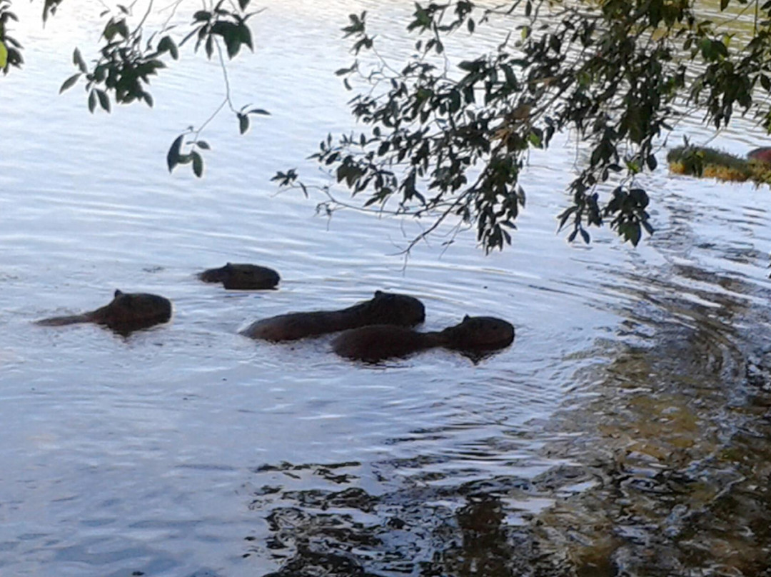 Lago do Amor景点图片