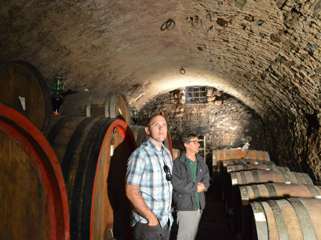 Wine Link Italy景点图片